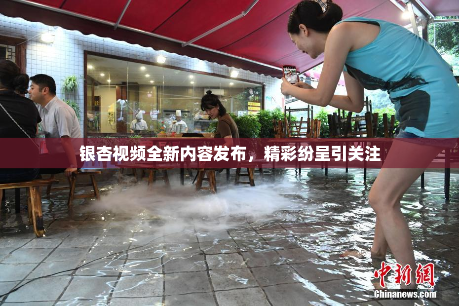 银杏视频全新内容发布，精彩纷呈引关注