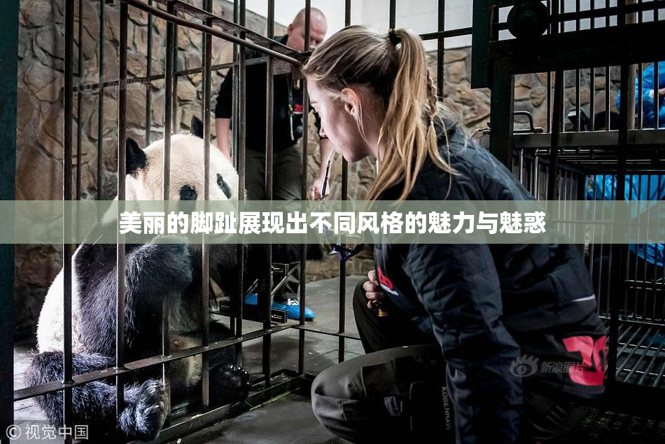美丽的脚趾展现出不同风格的魅力与魅惑