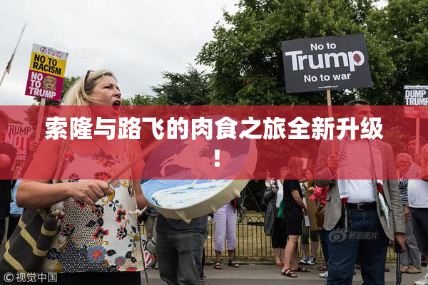 索隆与路飞的肉食之旅全新升级！