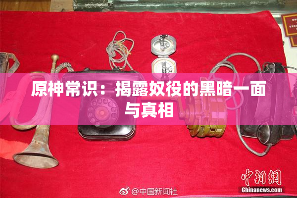原神常识：揭露奴役的黑暗一面与真相