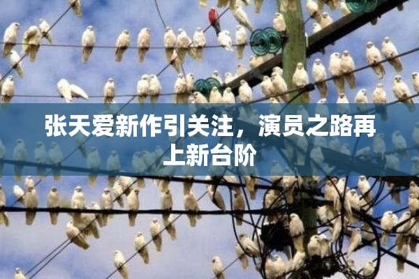 张天爱新作引关注，演员之路再上新台阶
