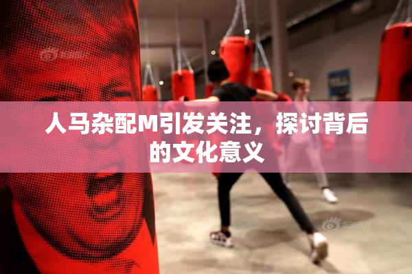 人马杂配M引发关注，探讨背后的文化意义