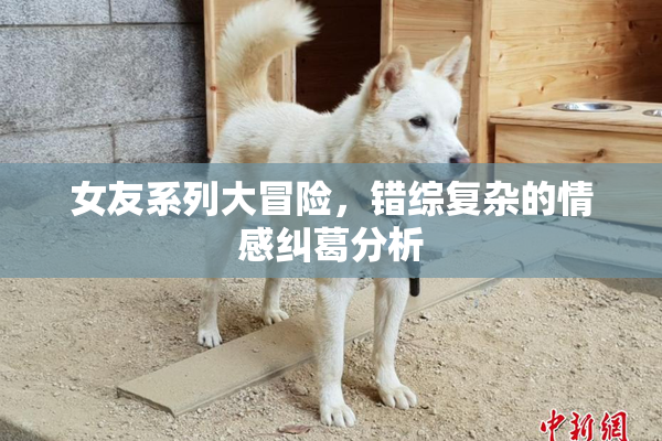 女友系列大冒险，错综复杂的情感纠葛分析