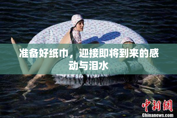 准备好纸巾，迎接即将到来的感动与泪水