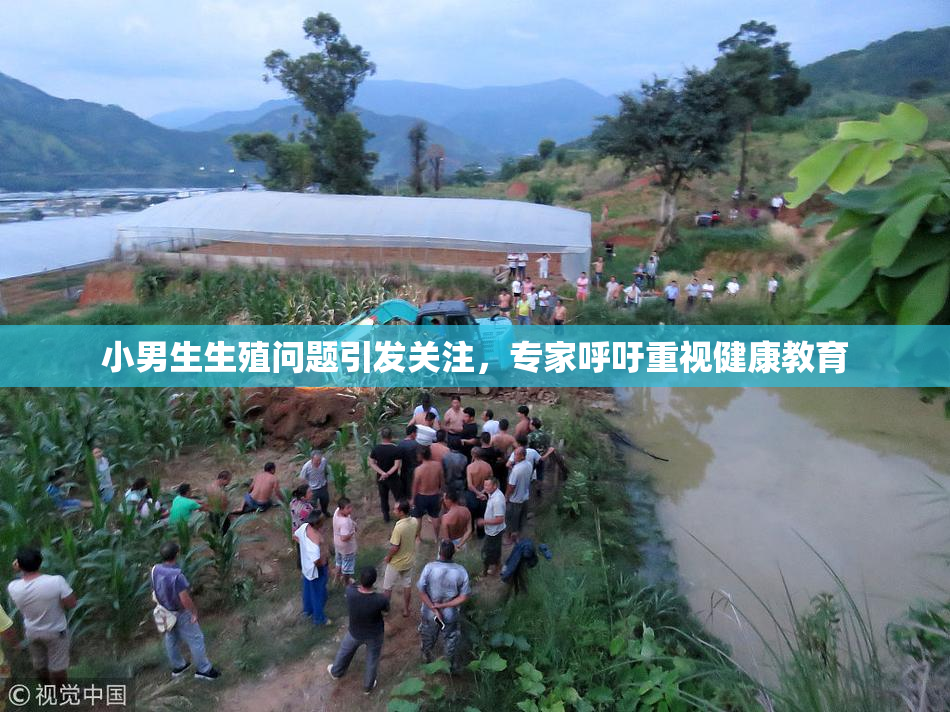 小男生生殖问题引发关注，专家呼吁重视健康教育