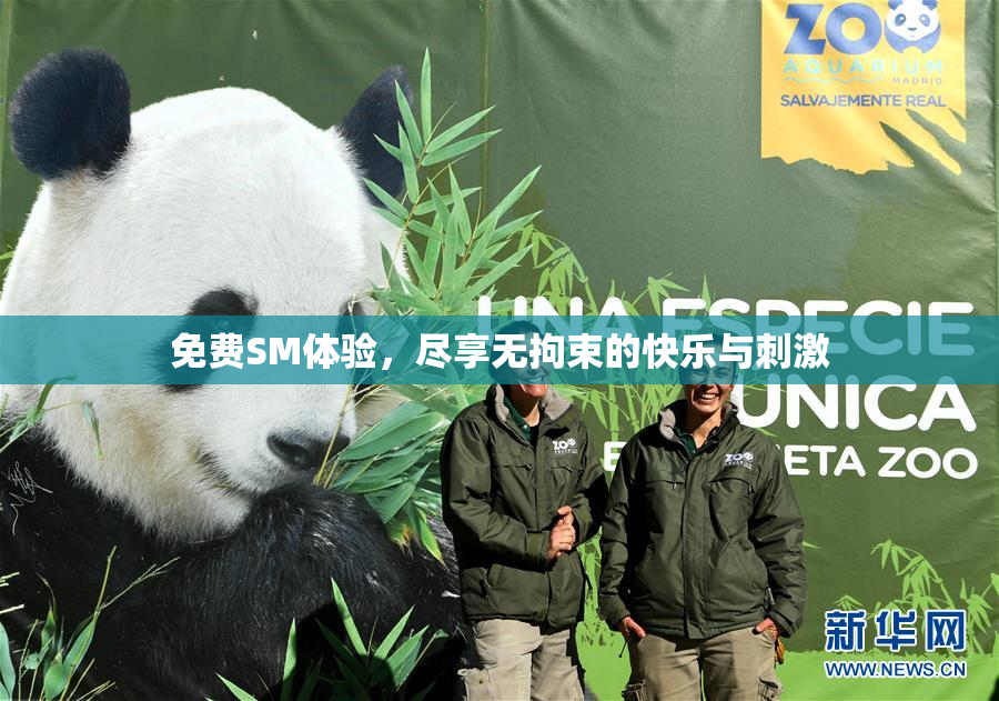 免费SM体验，尽享无拘束的快乐与刺激