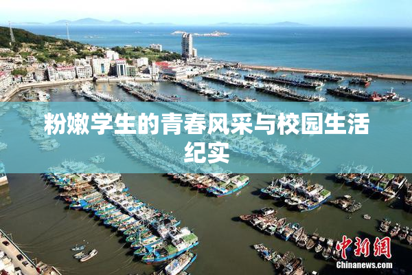 粉嫩学生的青春风采与校园生活纪实