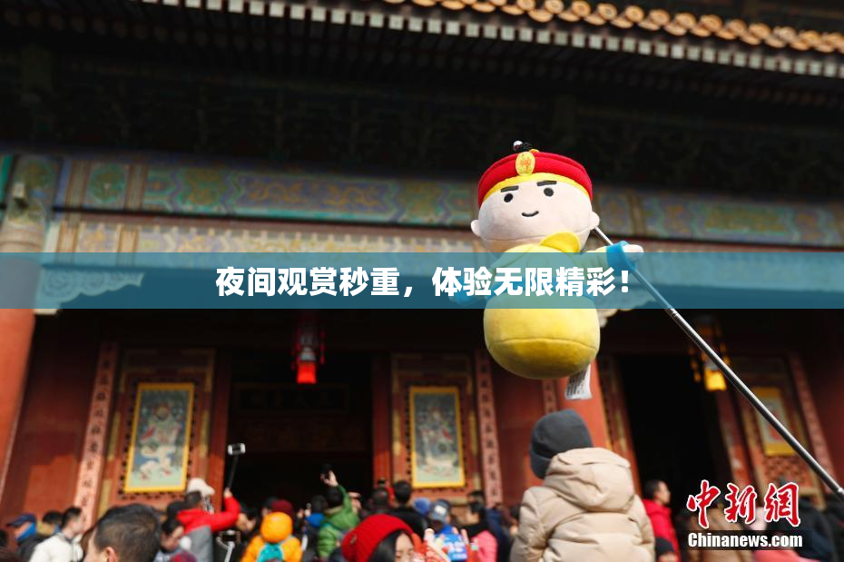 夜间观赏秒重，体验无限精彩！