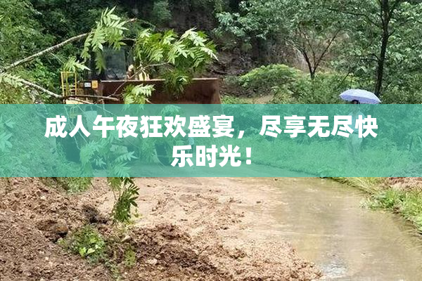 成人午夜狂欢盛宴，尽享无尽快乐时光！