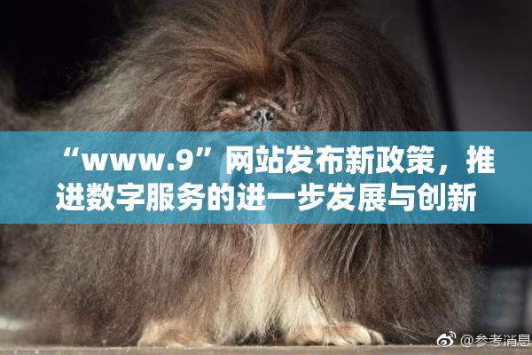 “www.9”网站发布新政策，推进数字服务的进一步发展与创新。