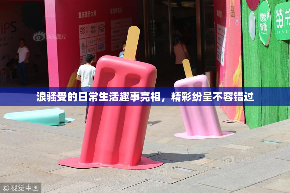 浪骚受的日常生活趣事亮相，精彩纷呈不容错过