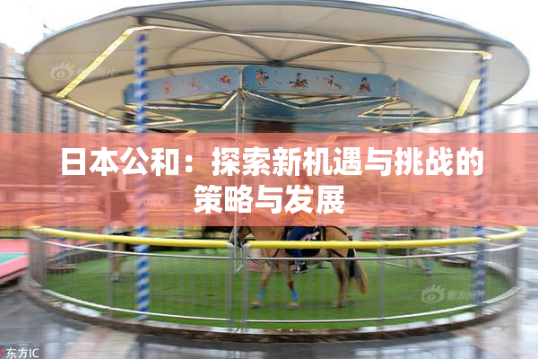 日本公和：探索新机遇与挑战的策略与发展