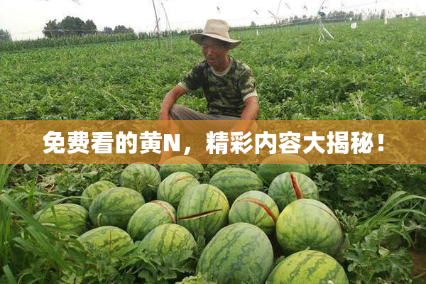 免费看的黄Ν，精彩内容大揭秘！