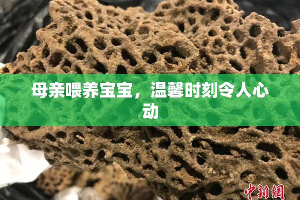 母亲喂养宝宝，温馨时刻令人心动