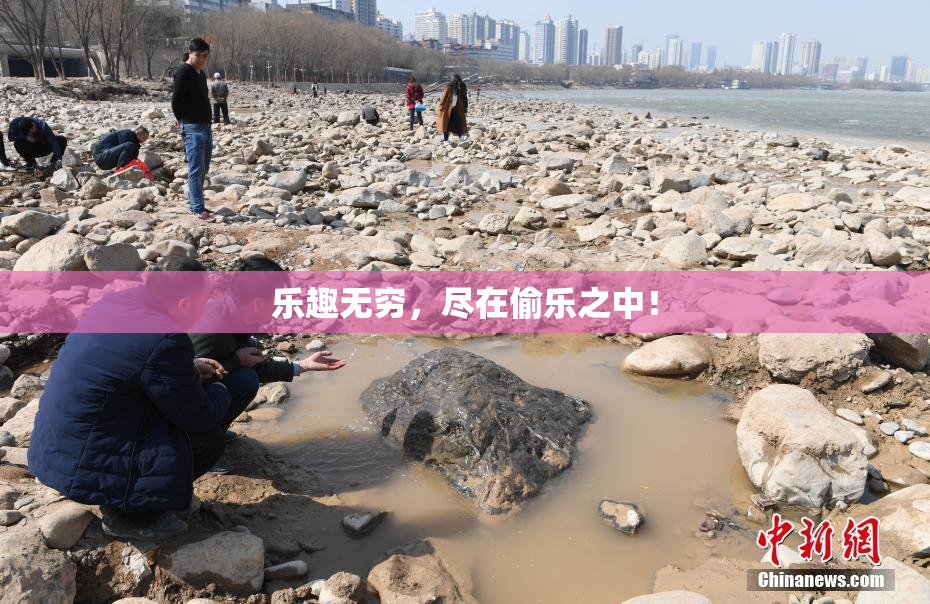 乐趣无穷，尽在偷乐之中！