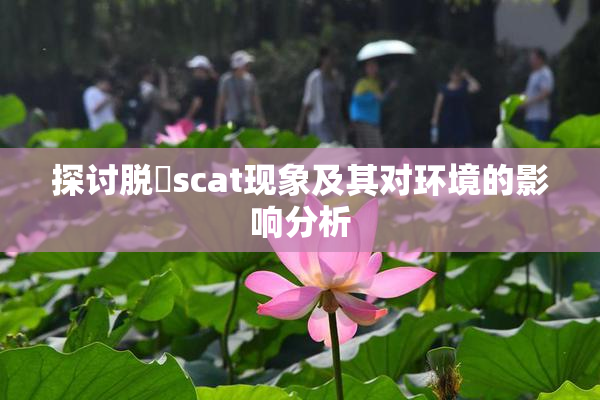 探讨脱糞scat现象及其对环境的影响分析
