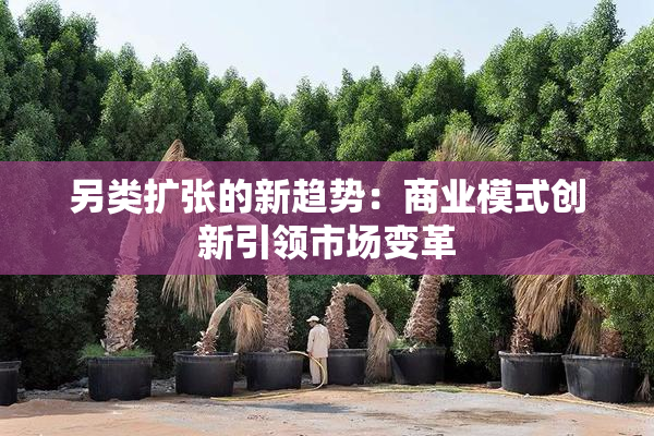 另类扩张的新趋势：商业模式创新引领市场变革