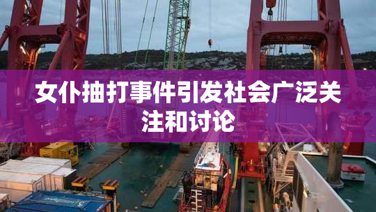 女仆抽打事件引发社会广泛关注和讨论