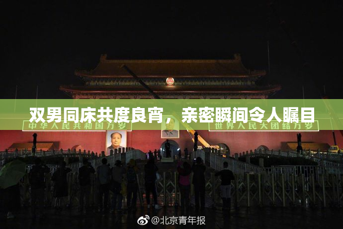 双男同床共度良宵，亲密瞬间令人瞩目