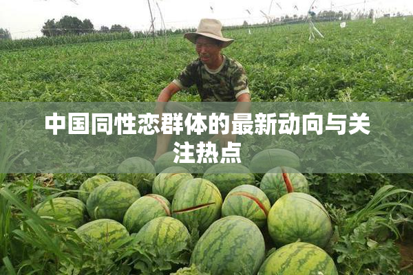 中国同性恋群体的最新动向与关注热点
