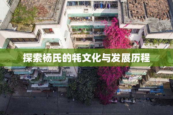 探索杨氏的牦文化与发展历程