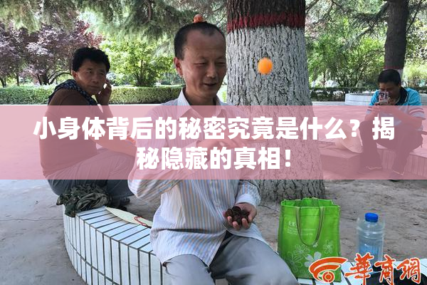 小身体背后的秘密究竟是什么？揭秘隐藏的真相！