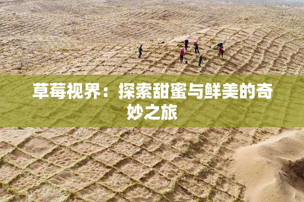 草莓视界：探索甜蜜与鲜美的奇妙之旅