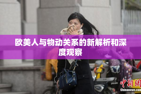 欧美人与物动关系的新解析和深度观察