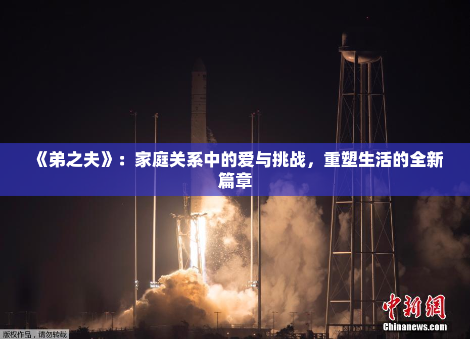 《弟之夫》：家庭关系中的爱与挑战，重塑生活的全新篇章