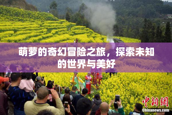 萌萝的奇幻冒险之旅，探索未知的世界与美好