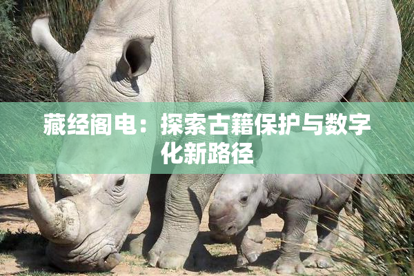 藏经阁电：探索古籍保护与数字化新路径