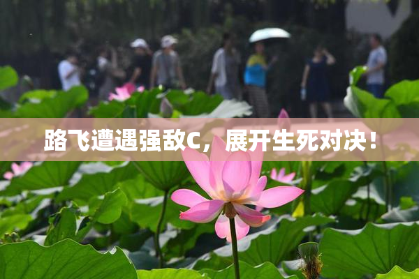 路飞遭遇强敌C，展开生死对决！