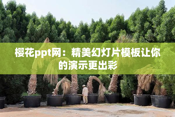 樱花ppt网：精美幻灯片模板让你的演示更出彩