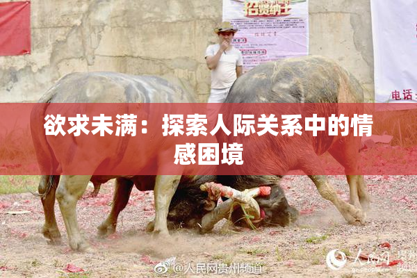欲求未满：探索人际关系中的情感困境