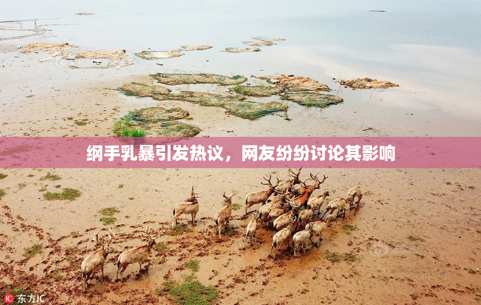纲手乳暴引发热议，网友纷纷讨论其影响