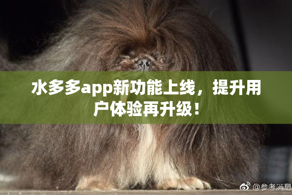 水多多app新功能上线，提升用户体验再升级！