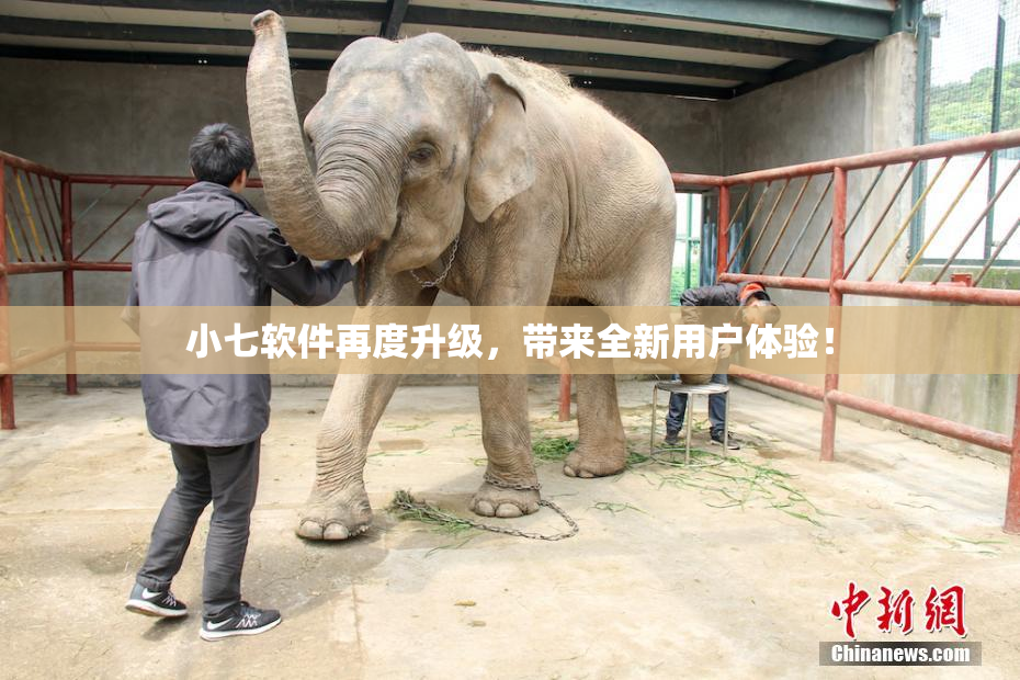 小七软件再度升级，带来全新用户体验！