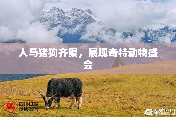 人马猪狗齐聚，展现奇特动物盛会
