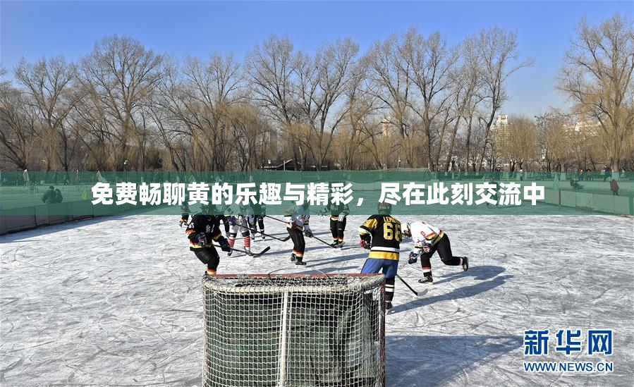 免费畅聊黄的乐趣与精彩，尽在此刻交流中