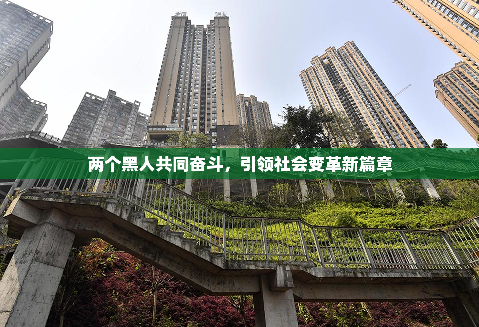 两个黑人共同奋斗，引领社会变革新篇章