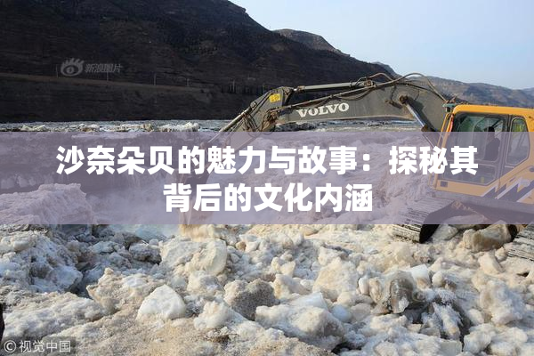 沙奈朵贝的魅力与故事：探秘其背后的文化内涵