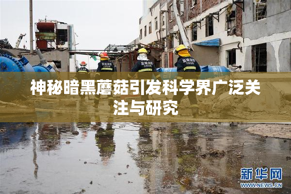神秘暗黑蘑菇引发科学界广泛关注与研究