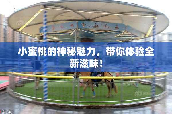 小蜜桃的神秘魅力，带你体验全新滋味！