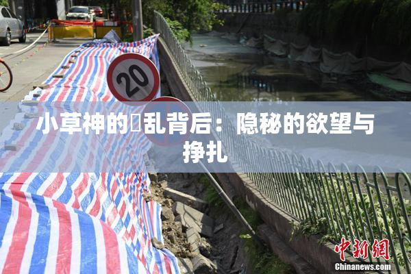 小草神的婬乱背后：隐秘的欲望与挣扎