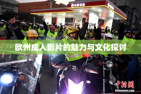 欧州成人影片的魅力与文化探讨