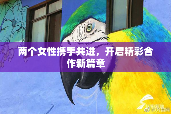 两个女性携手共进，开启精彩合作新篇章
