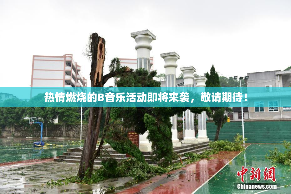 热情燃烧的B音乐活动即将来袭，敬请期待！