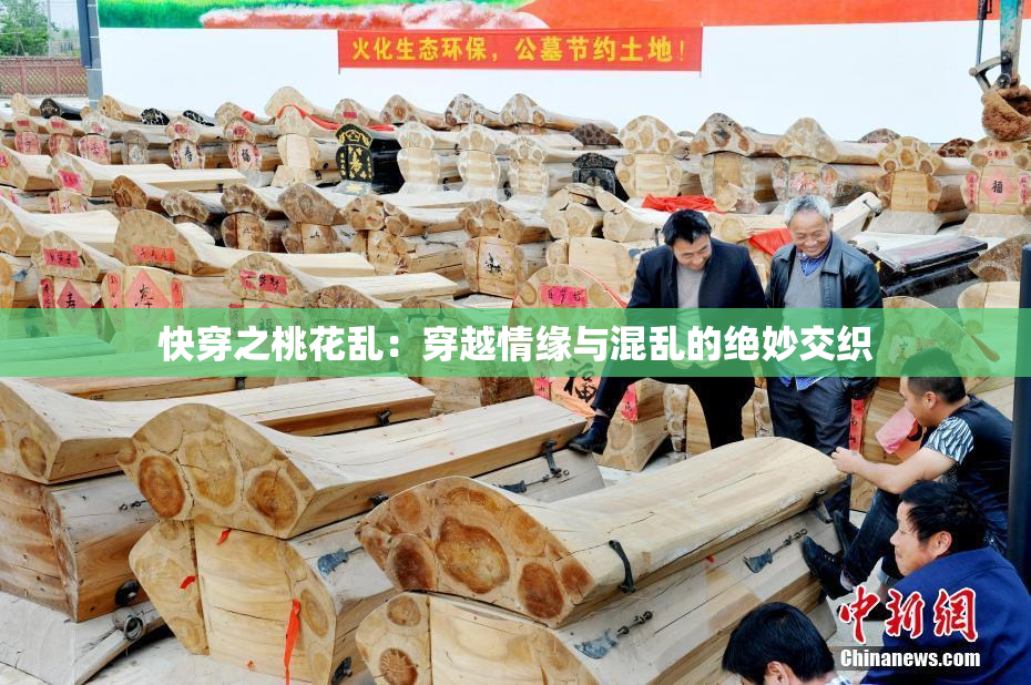 快穿之桃花乱：穿越情缘与混乱的绝妙交织