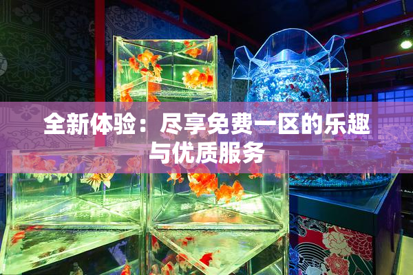 全新体验：尽享免费一区的乐趣与优质服务