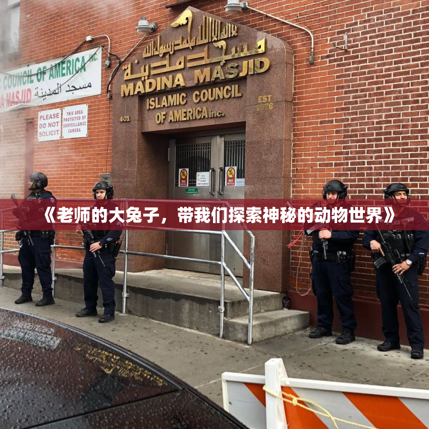 《老师的大兔子，带我们探索神秘的动物世界》
